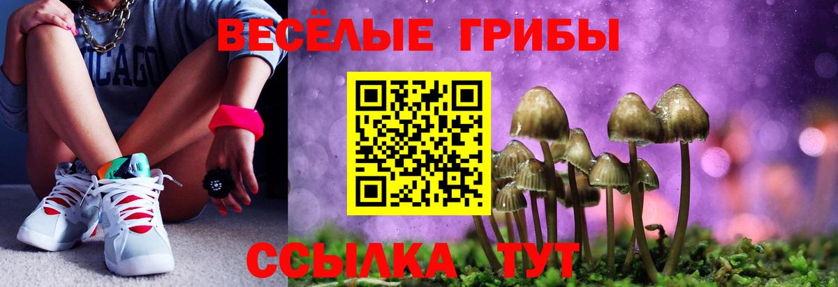 Псилоцибиновые грибы Psilocybe Петропавловск-Камчатский